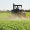 Fedeagro: Seguridad alimentaria en el país está garantizada por la producción nacional