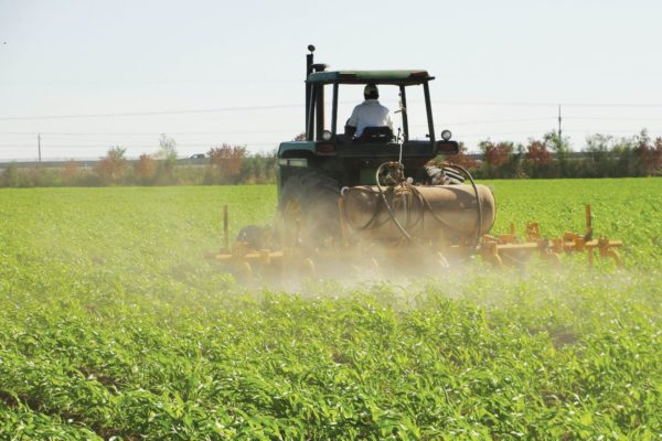 Ejecutivo estima que en tres años se podría cubrir con producción nacional la demanda interna de rubros agrícolas