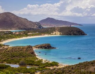 Alí Padrón: Sector turismo está trabajando bajo el método burbuja para evitar propagación del Covid