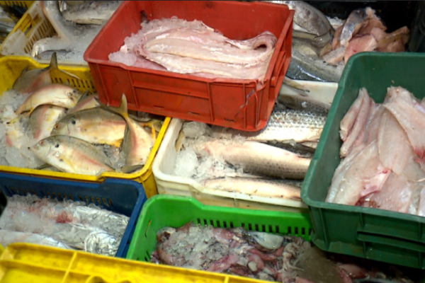 Especial | Consumo de pescado se mantiene en Semana Santa a pesar de los precios astronómicos