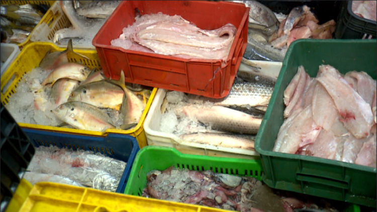 #Exclusivo 40% de la flota pesquera está en alto riesgo por falta de combustible