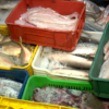 #Crónica | Un milagro de la Semana Santa es cuadrar los presupuestos para comer pescado