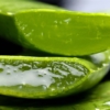 Estos son los beneficios del aloe vera para la salud