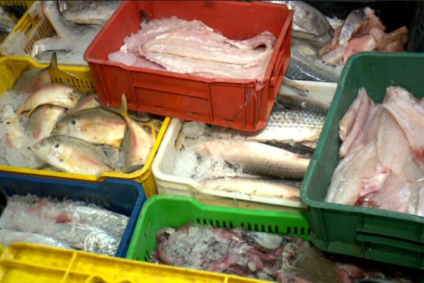 Min. Comercio difunde «precios acordados» para la venta de pescado