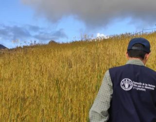 LA FAO advierte que países importadores pagarán más por menos alimentos en 2022