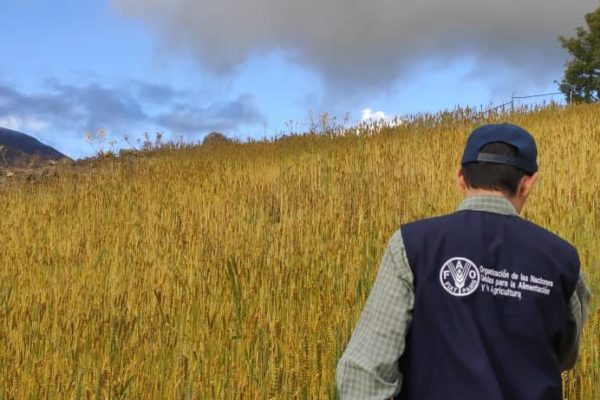 LA FAO advierte que países importadores pagarán más por menos alimentos en 2022