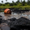 Solicitarán a la Comisión de Energía y Petróleo investigar presunto derrame petrolero en Anzoátegui
