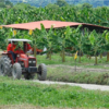 Ganaderos alertan que cada vez quedan menos productores agropecuarios en el país