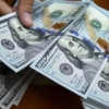 Gobierno venezolano aumenta la cantidad de pagos en dólares a proveedores