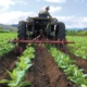 Cavedrepa: déficit de maquinaria agrícola importada en el país es de 80%