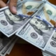 No hubo cambio: Dólar paralelo cerró este #28sep en Bs. 8,42 por unidad
