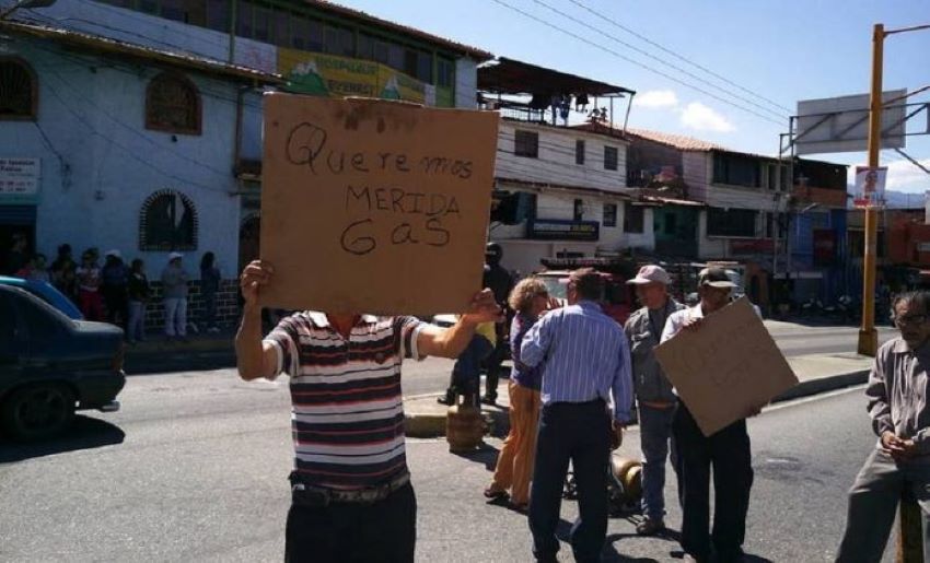 Exclusivo | Las plagas que azotan a Mérida generan pobreza, parálisis y desolación