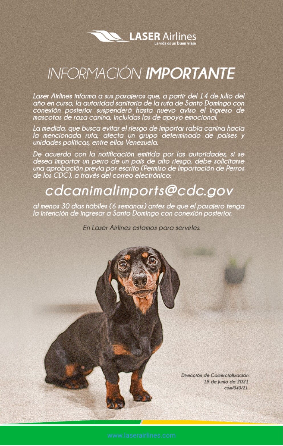 Laser Airlines anunció medidas para el traslado de mascotas a Santo Domingo