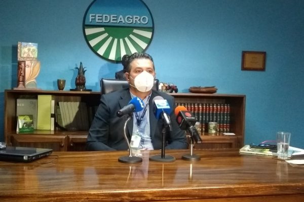 Trabajan a perdida: Productores reciben menos de un tercio de lo que cancela el consumidor por los productos