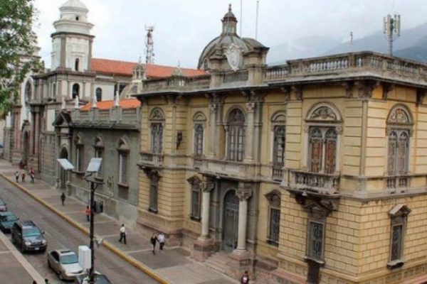 Exclusivo | Las plagas que azotan a Mérida generan pobreza, parálisis y desolación