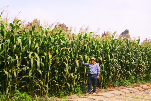 Asobarinas: más de 700.000 hectáreas de tierras productivas han sido despojadas a sus dueños