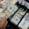 Bárcenas: ‘En las semanas radicales la inflación es mayor y el tipo de cambio es más volátil’