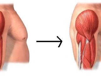 Crecimiento muscular requiere agua, nutrientes y ejercicio