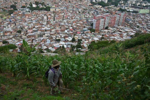 En los barrios de Caracas emergen huertos para completar la dieta