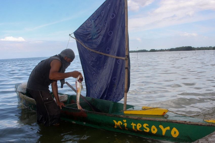 Crónica | Pesca a vela y bicicletas de transporte colectivo: así sobrevive Zulia, emporio petrolero, sin gasolina