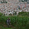 En los barrios de Caracas emergen huertos para completar la dieta