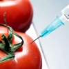 Inmunización con tomates: El proyecto para desarrollar una vacuna anticovid-19 comestible