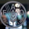FAO: los precios de alimentos mundiales alcanzan su mayor nivel desde 1990