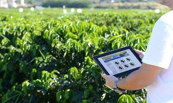 Expertos dicen que la agricultura digital es clave para sistemas alimentarios