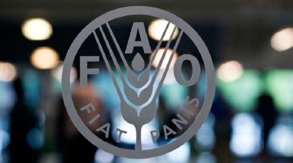 FAO: Precios de los alimentos bajan por tercer mes consecutivo