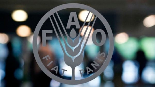Gobierno de Maduro y la FAO firman un acuerdo de cooperación por un periodo de 3 años