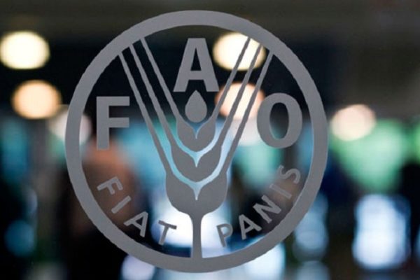 FAO: Precios de los alimentos bajan por tercer mes consecutivo