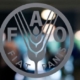 FAO: Sudamérica puede ser la única región en ganarle la batalla al hambre en 2030