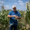 Arepas venezolanas se hacen con maíz importado: 70% viene de México