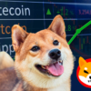 La criptomoneda Shiba Inu se disparó casi un 30% en la últimas horas