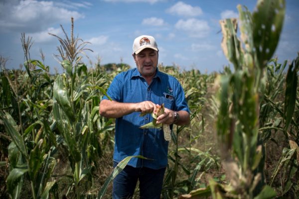 Fedeagro: se requiere mayor supervisión de los productos que ingresan al país para evitar cosechas contaminadas