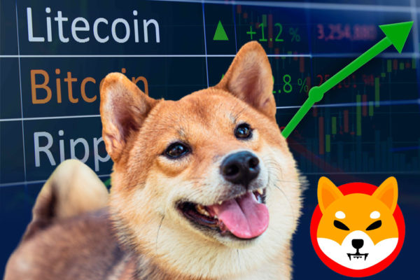 La criptomoneda Shiba Inu se disparó casi un 30% en la últimas horas