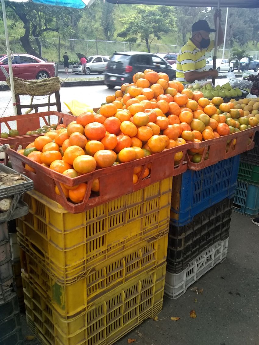 Venezolanos usan mandarinas para los deseos de fin de año ante precios prohibitivos de las uvas