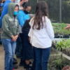 Bancamiga y Jardines Topotepuy motorizan el Huerto para la vida