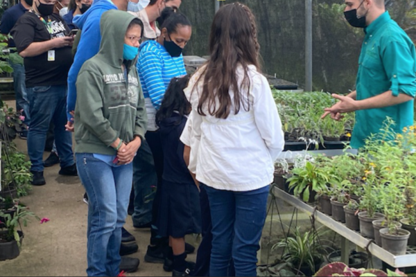 Bancamiga y Jardines Topotepuy motorizan el Huerto para la vida