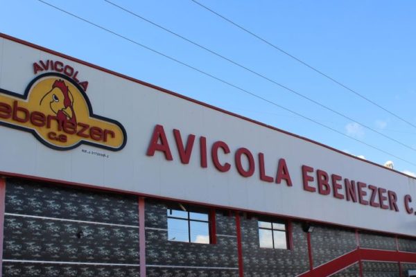 Min Comercio ‘visitó’ a empresa avícola Ebenezer en Yaracuy para supervisar distribución de pollo