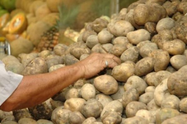 #Claves | 10 «nudos críticos» que amarran a una agricultura nacional que ha retrocedido décadas
