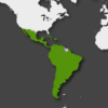 Monopolios y precariedad laboral, el auge de los «delivery» en Latinoamérica