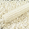 Industria solicita exoneración de aranceles para importar maíz blanco: Cosecha nacional no cubrió los requerimientos