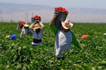 Brasil amenaza a EE.UU. con quitarle el liderazgo mundial en exportaciones agr&iacute;colas