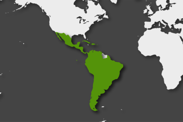 Monopolios y precariedad laboral, el auge de los «delivery» en Latinoamérica