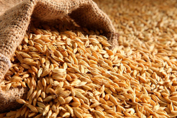 OMC pide a países con reservas de cereales liberarlas para hacer frente al alza de precios