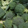 Cosechas de brócoli y coliflor se pierden en el campo por falta de compradores