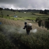 Alertan de que el sector agrícola en Latinoamérica puede empeorar por Ucrania