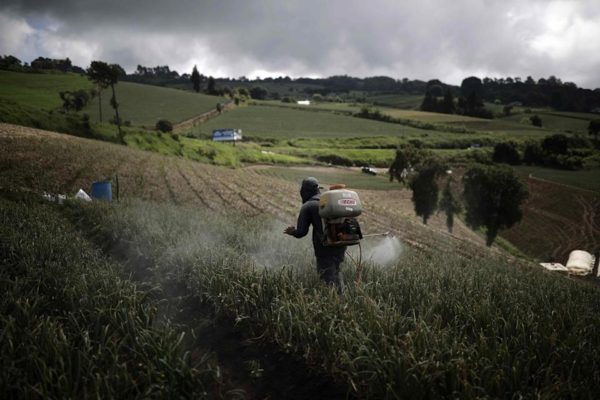 Alertan de que el sector agrícola en Latinoamérica puede empeorar por Ucrania