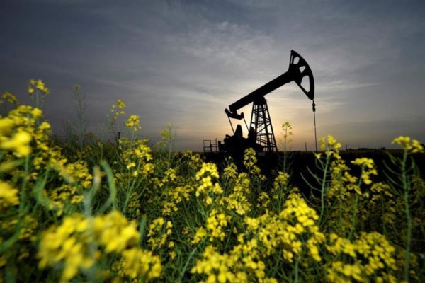 El petróleo de Texas baja 0,43 % y abre en 121,58 dólares el barril